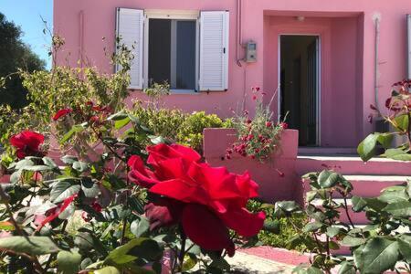 Pink House Villa Pesádha Exterior foto